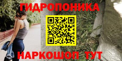 дживик Новокубанск