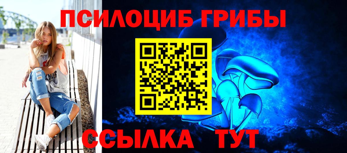 Петропавловск-Камчатский  Псилоцибиновые грибы Magic Shrooms  Вход с VPN  Псилоцибиновые грибы MAGIC MUSHROOMS 